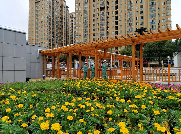 鍥剧墖1.png 鍥剧墖1.png