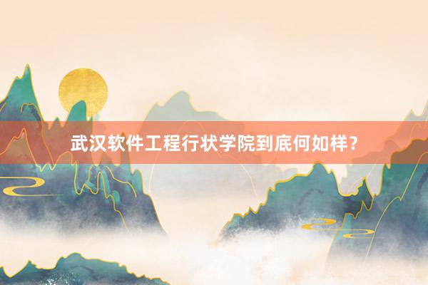 武汉软件工程行状学院到底何如样？
