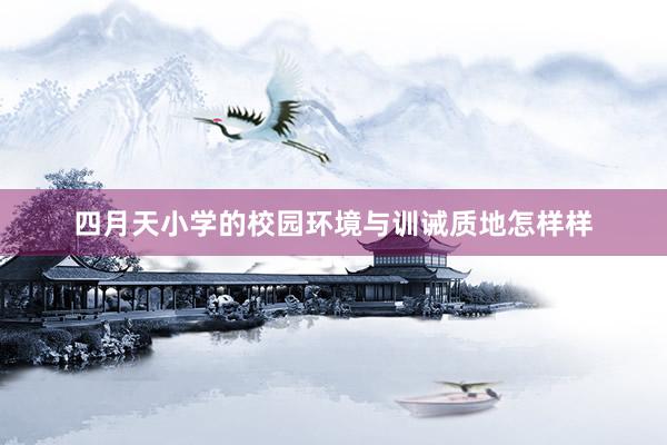 四月天小学的校园环境与训诫质地怎样样
