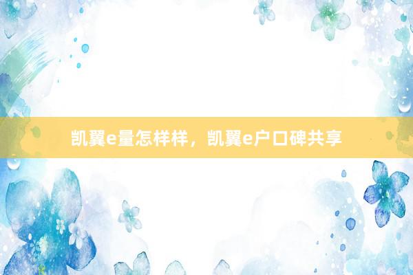 凯翼e量怎样样，凯翼e户口碑共享