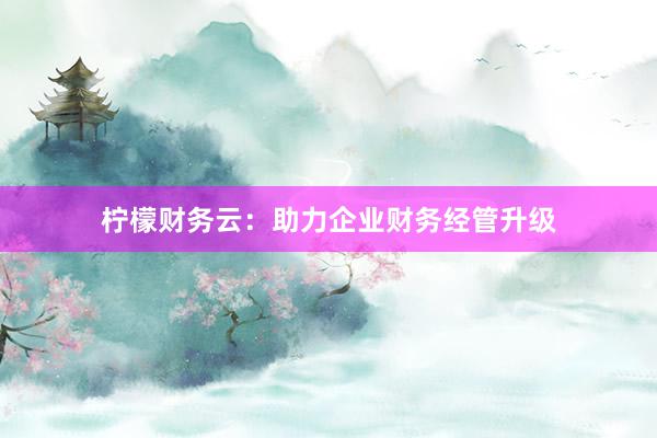 柠檬财务云：助力企业财务经管升级