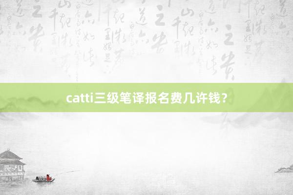 catti三级笔译报名费几许钱？