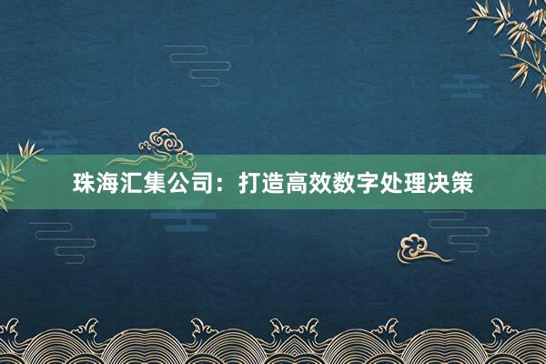 珠海汇集公司：打造高效数字处理决策